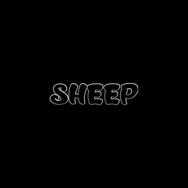开心往前飞（ SHEEP Bootleg）